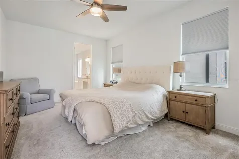 33181 Rosewood Bark Way Wesley Chapel FL 33545