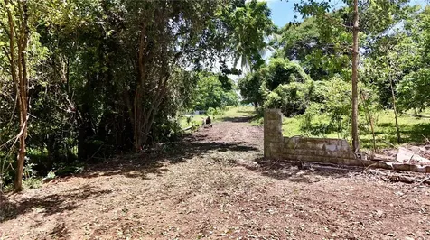 Bo Zaral Sec Carola Rio Grande PR 00721