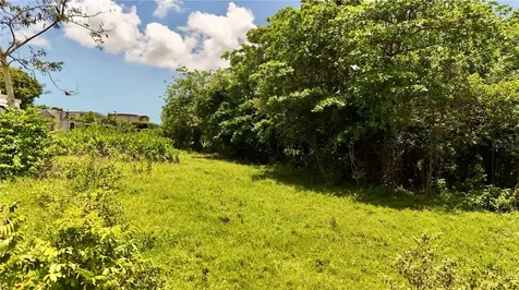 Bo Zaral Sec Carola Rio Grande PR 00721