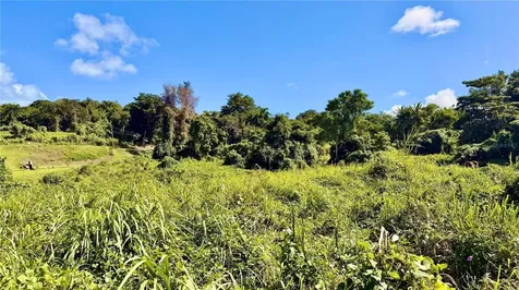 Bo Zaral Sec Carola Rio Grande PR 00721