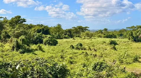 Bo Zaral Sec Carola Rio Grande PR 00721