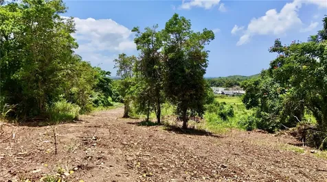 Bo Zaral Sec Carola Rio Grande PR 00721