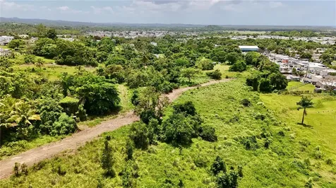 Bo Zaral Sec Carola Rio Grande PR 00721