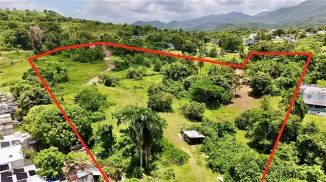 Bo Zaral Sec Carola Rio Grande PR 00721
