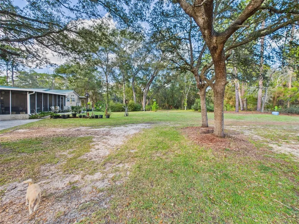 19651 SE 92nd Place Ocklawaha FL 32179