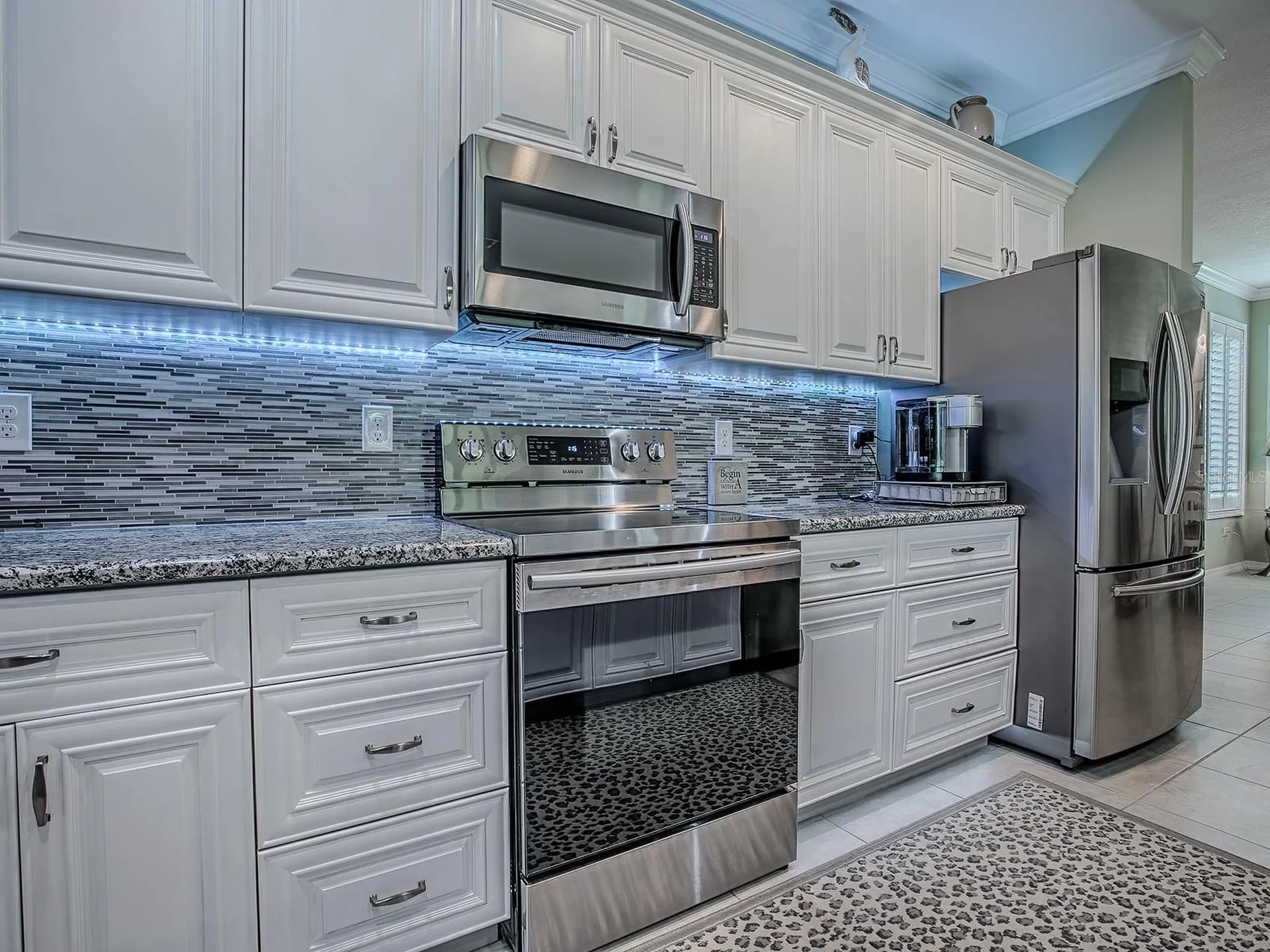 26939 White Plains Way Leesburg FL 34748