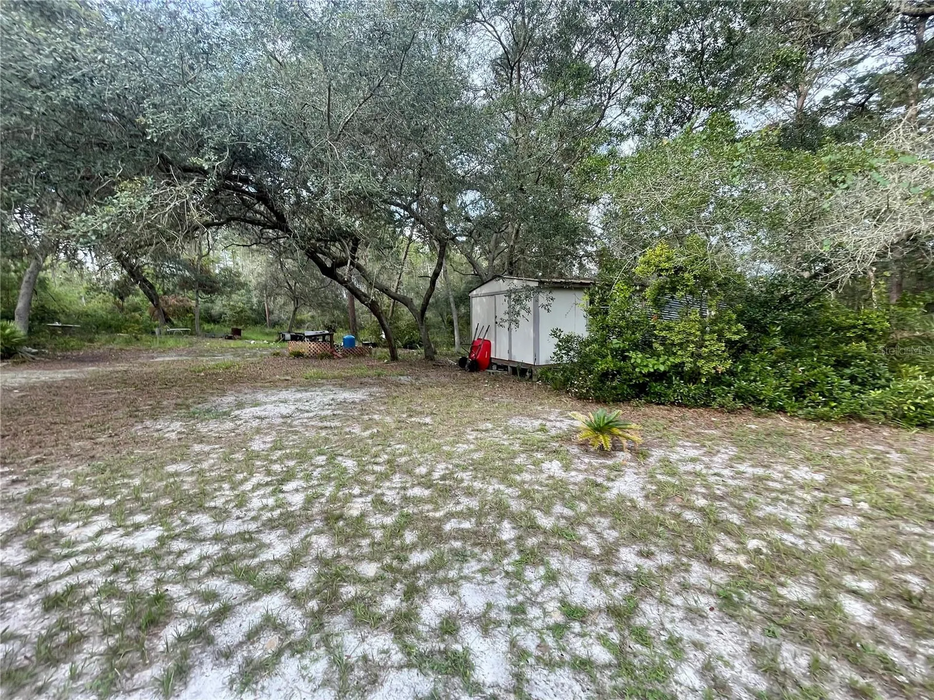 32741 Pine Road Eustis FL 32736
