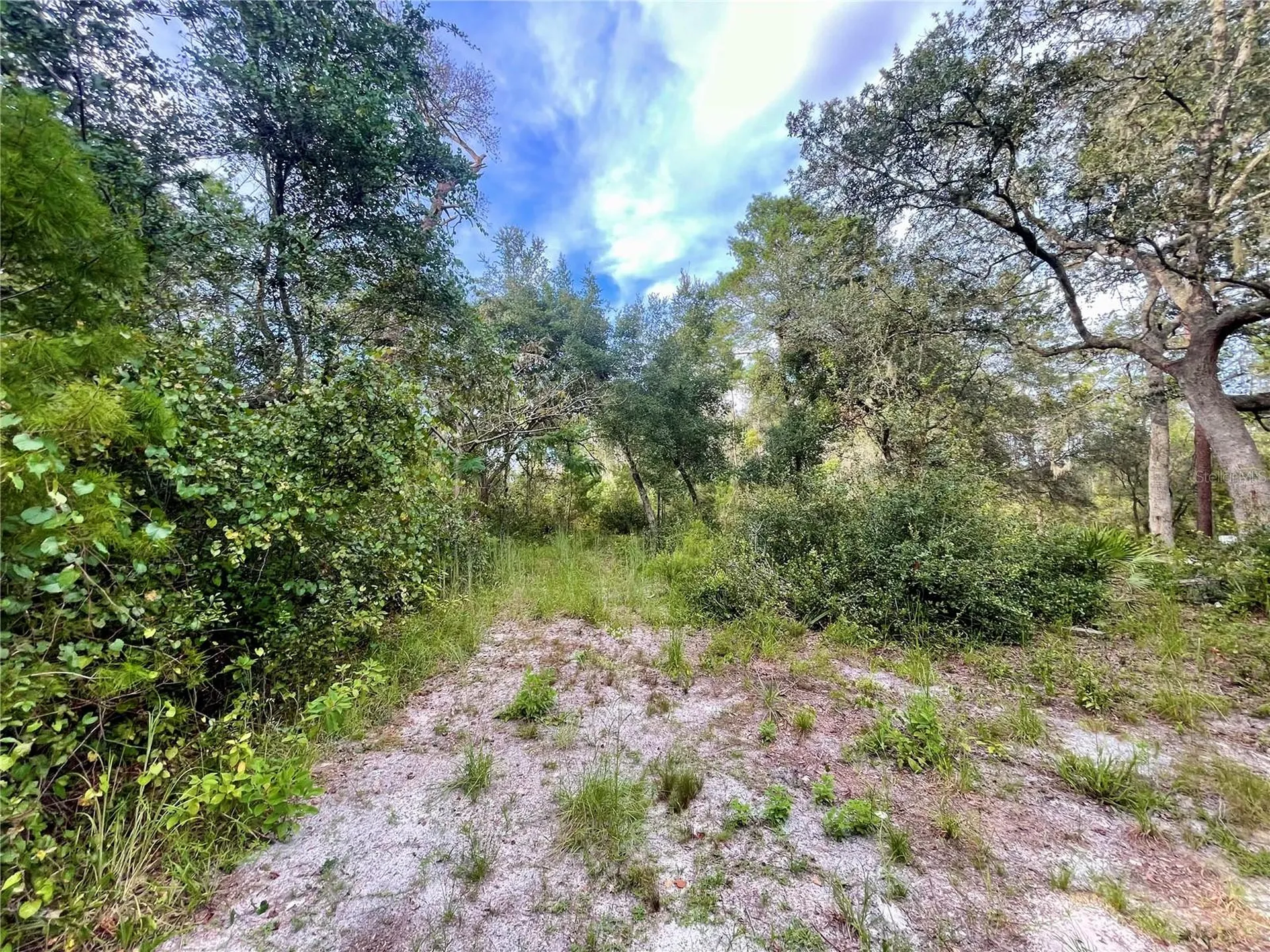 32741 Pine Road Eustis FL 32736