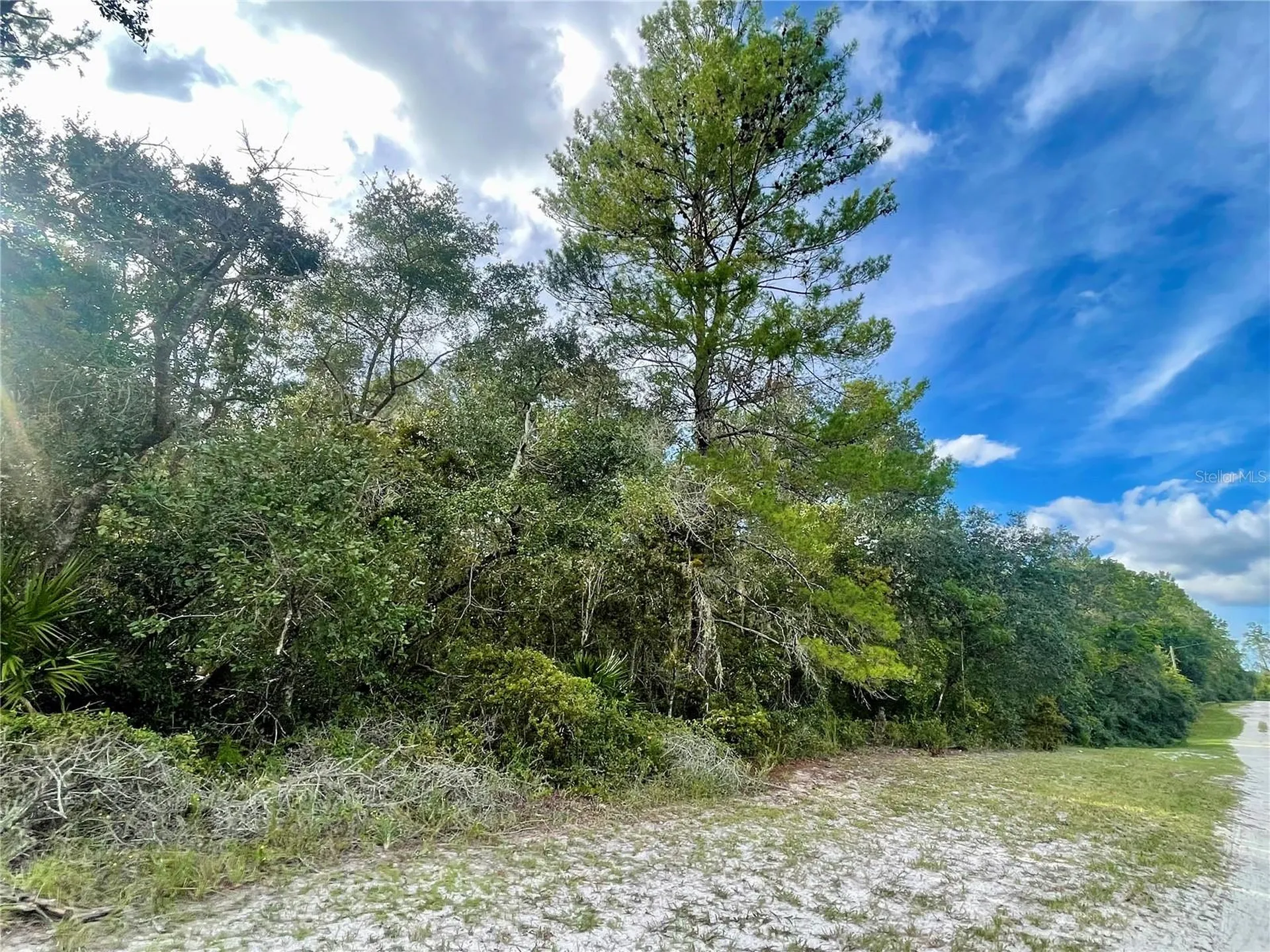 32741 Pine Road Eustis FL 32736