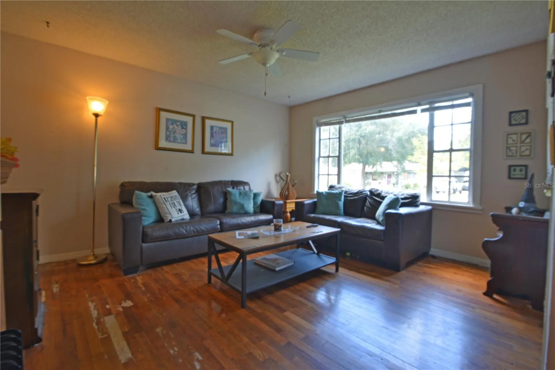 1405 E North Street Tampa FL 33604