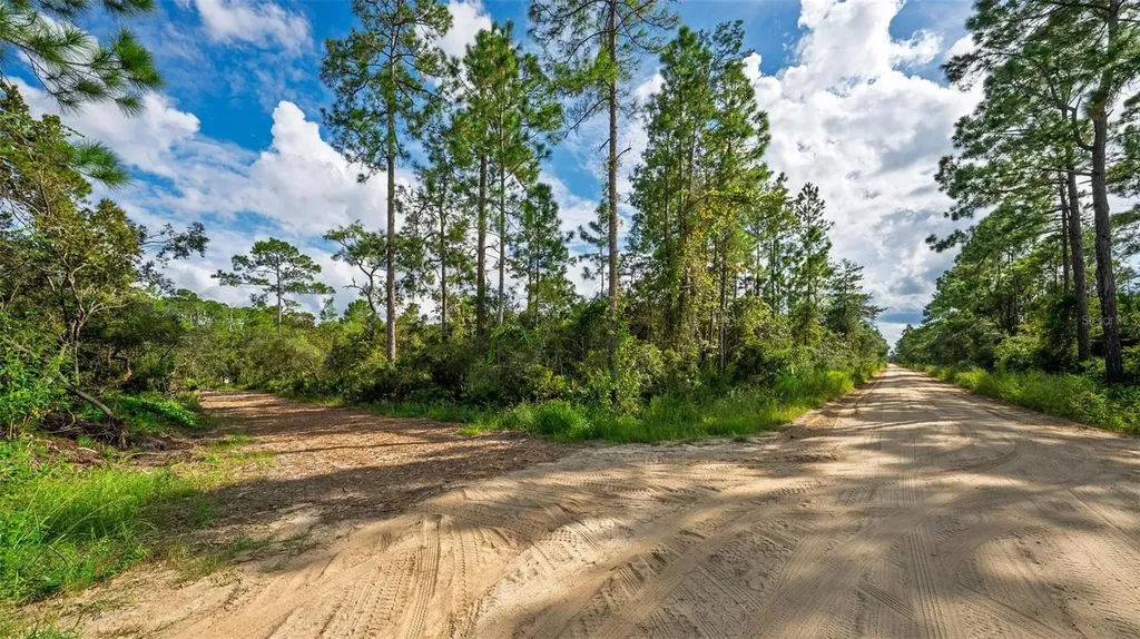 52215 State Road 19 Altoona FL 32702