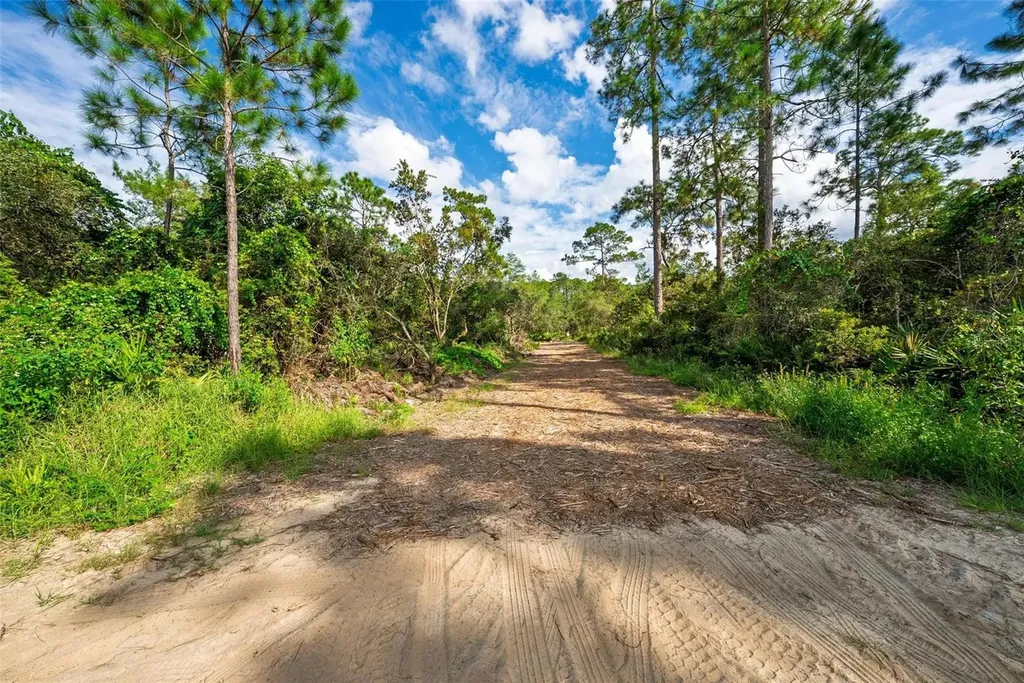 52215 State Road 19 Altoona FL 32702
