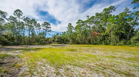 52215 State Road 19 Altoona FL 32702