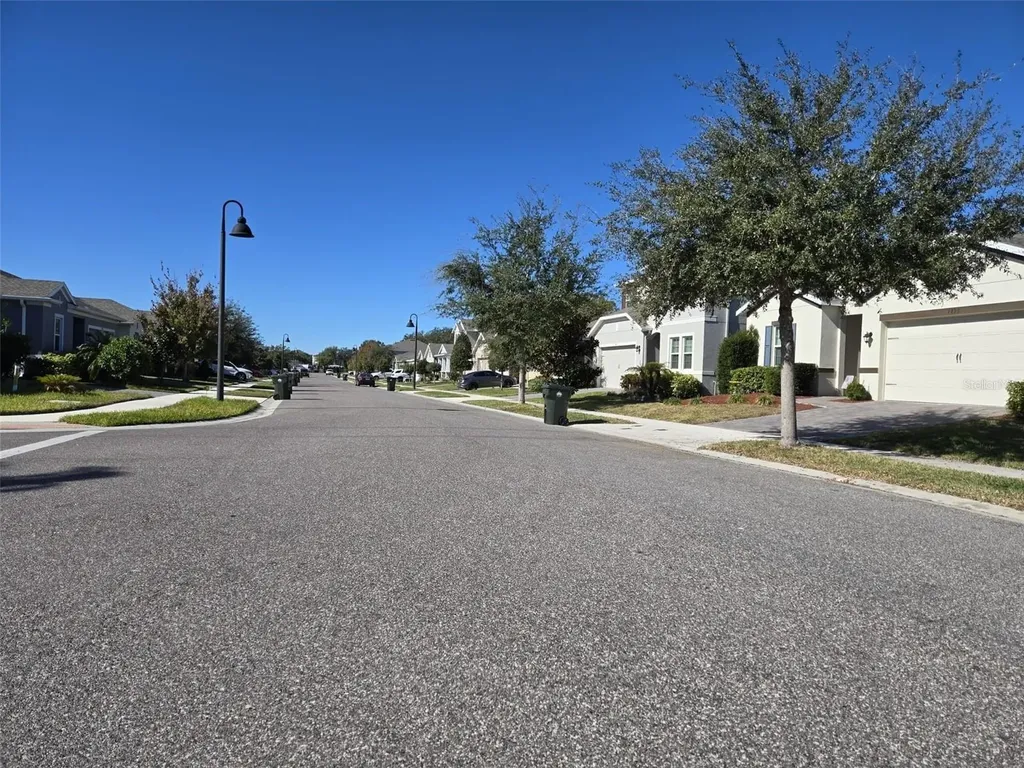 1823 Ibis Bay Court Ocoee FL 34761