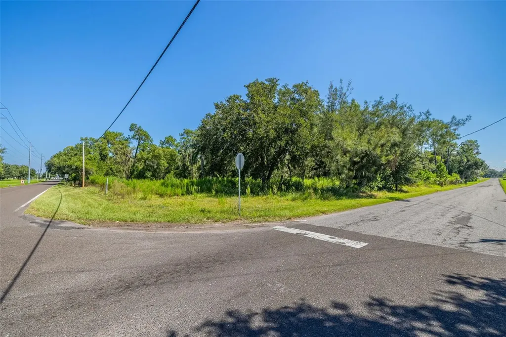 13410 Walden Sheffield Road Dover FL 33527
