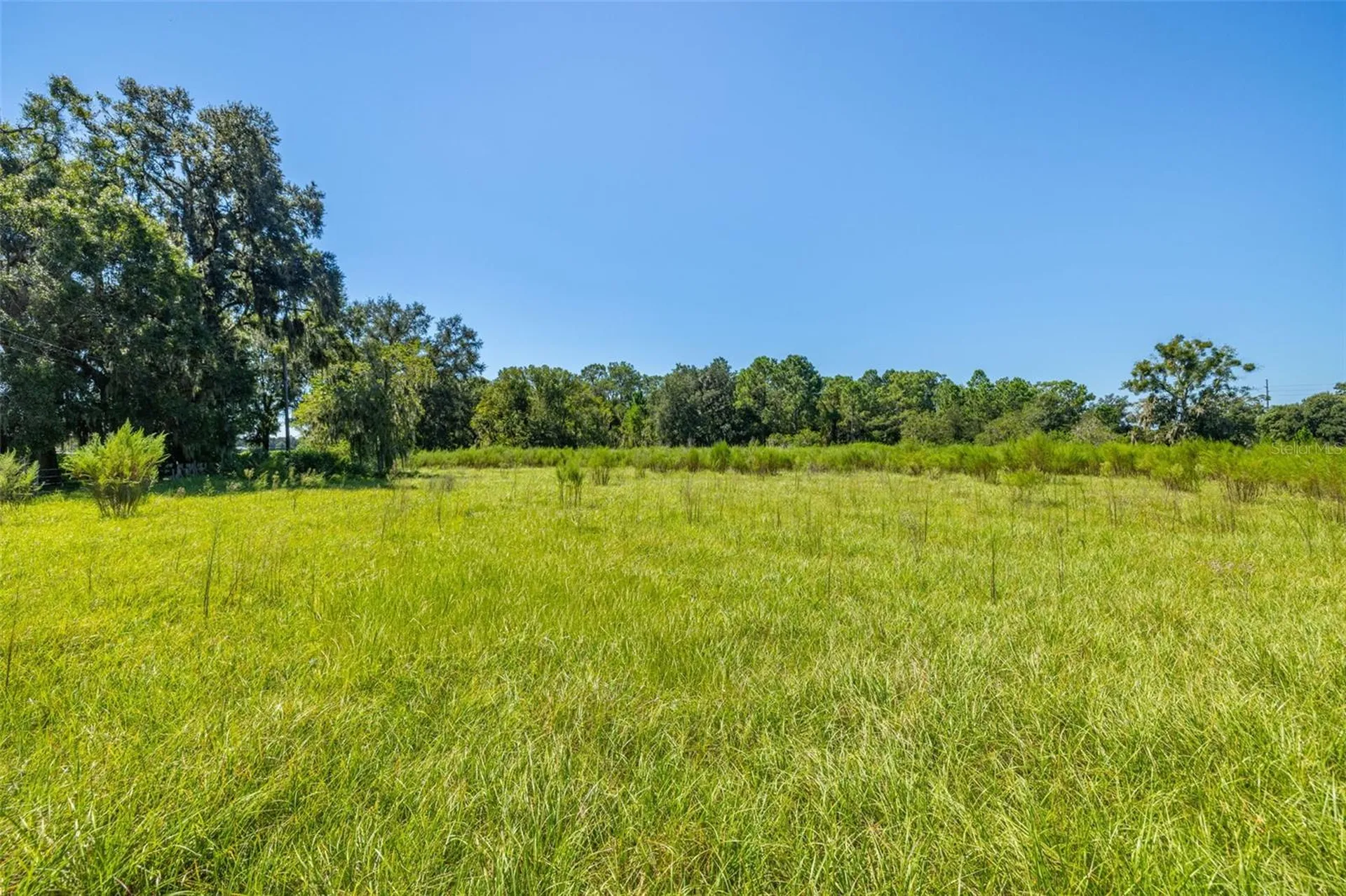 13410 Walden Sheffield Road Dover FL 33527