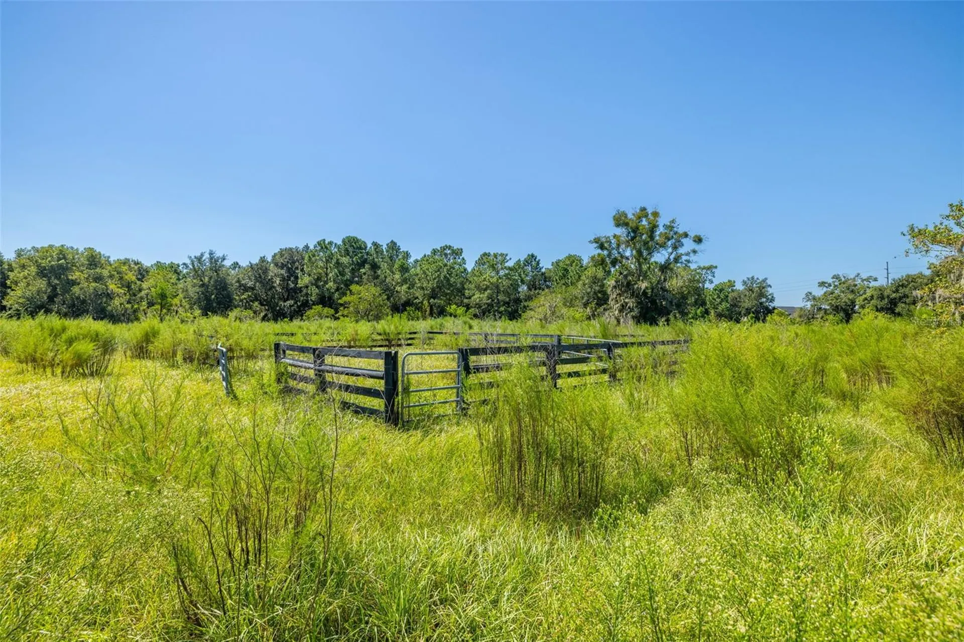 13410 Walden Sheffield Road Dover FL 33527