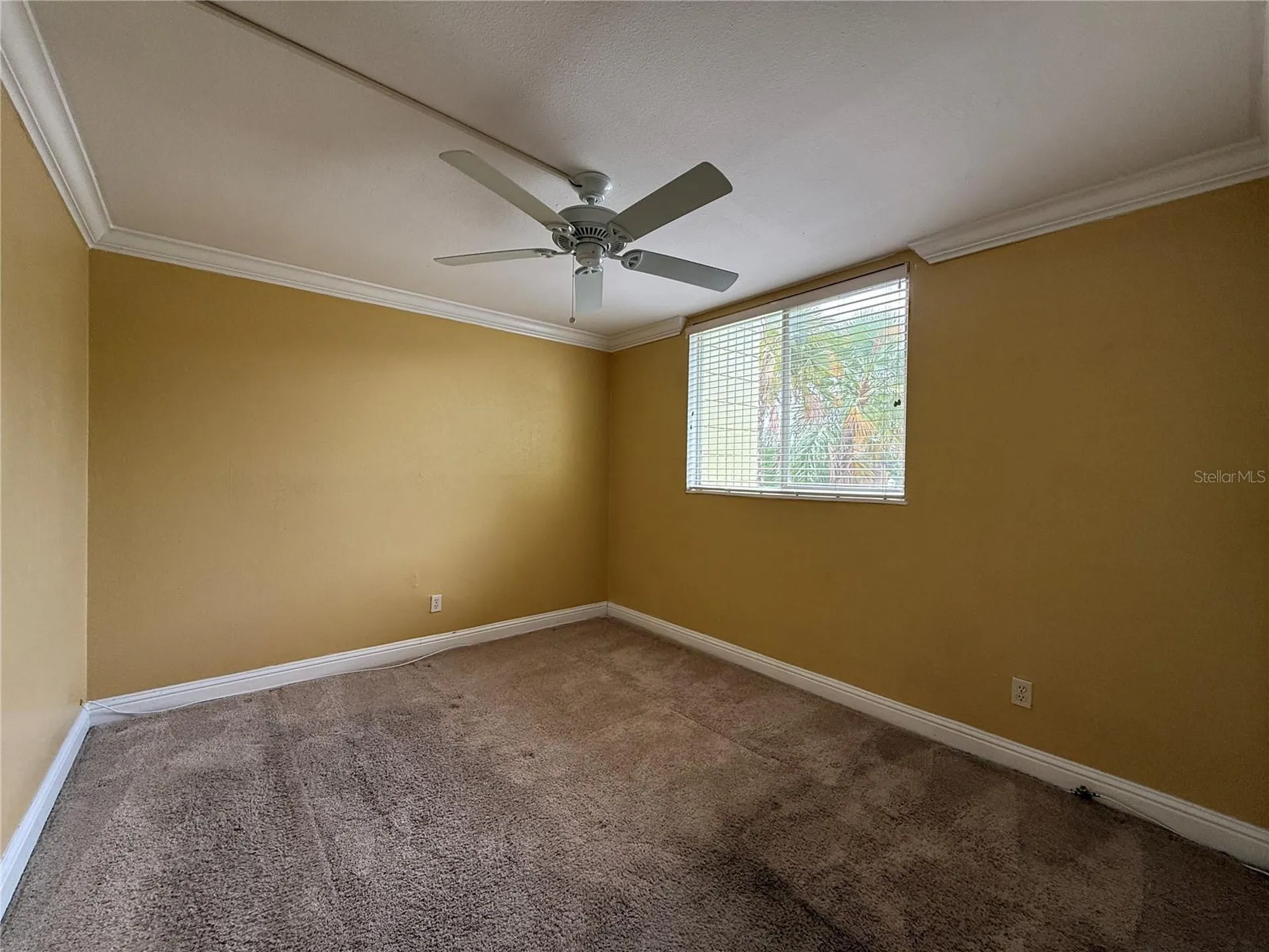 1301 S Howard Avenue Tampa FL 33606