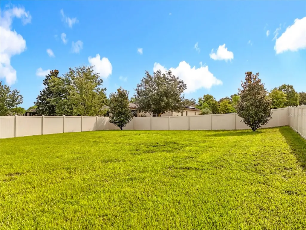 21224 Noric Cove Mount Dora FL 32757