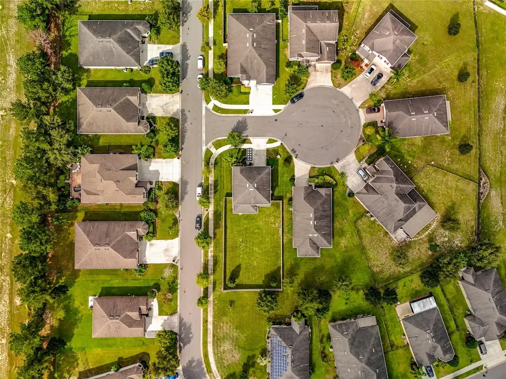 21224 Noric Cove Mount Dora FL 32757