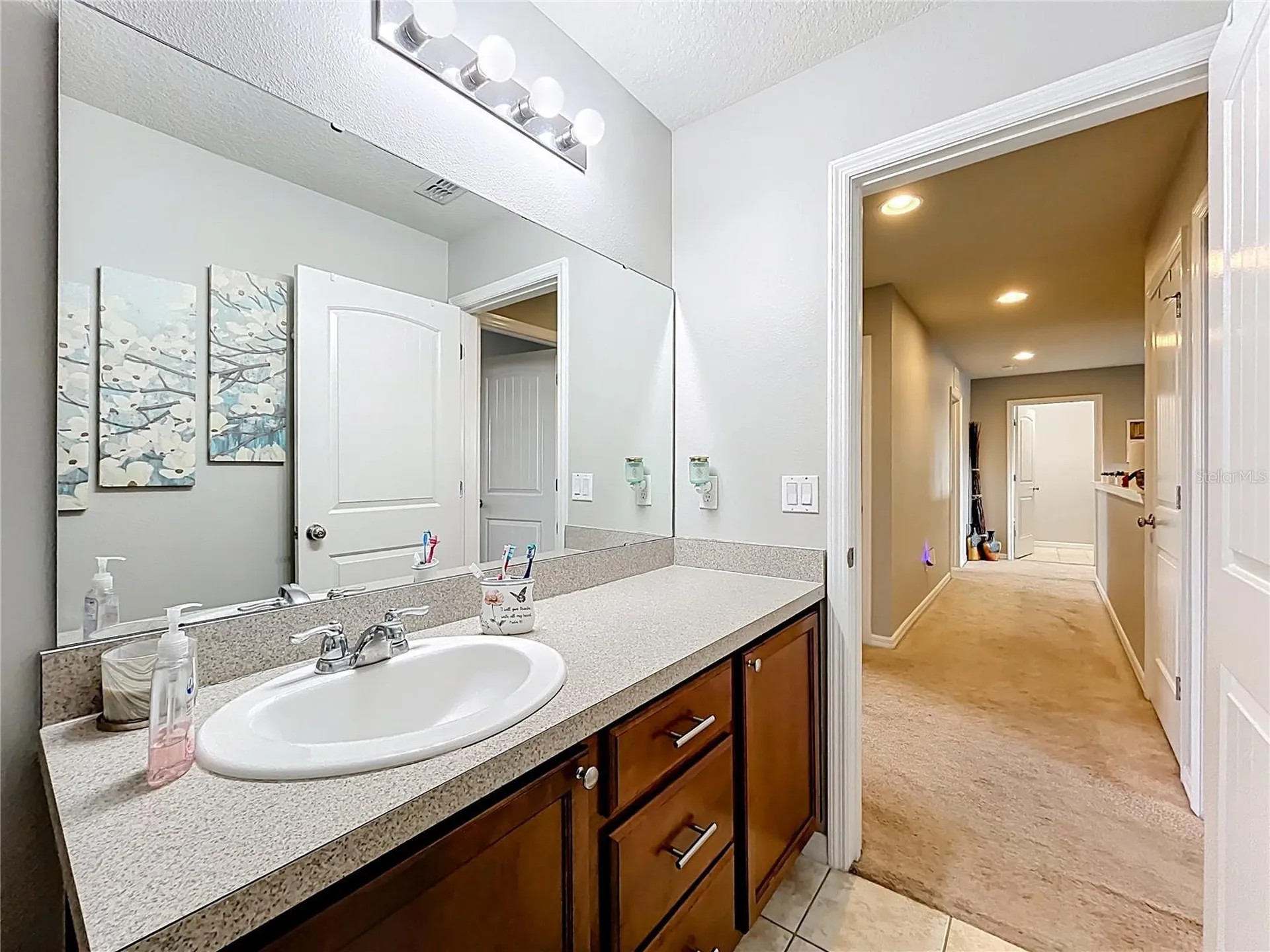 21224 Noric Cove Mount Dora FL 32757