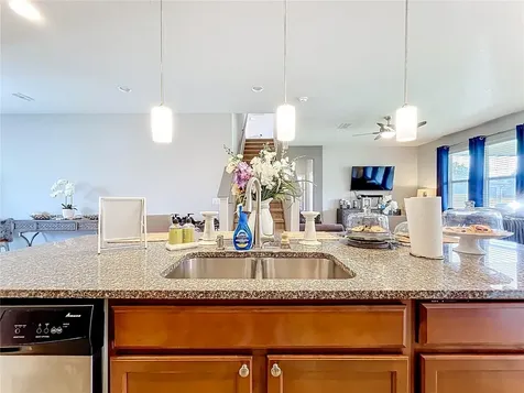 21224 Noric Cove Mount Dora FL 32757