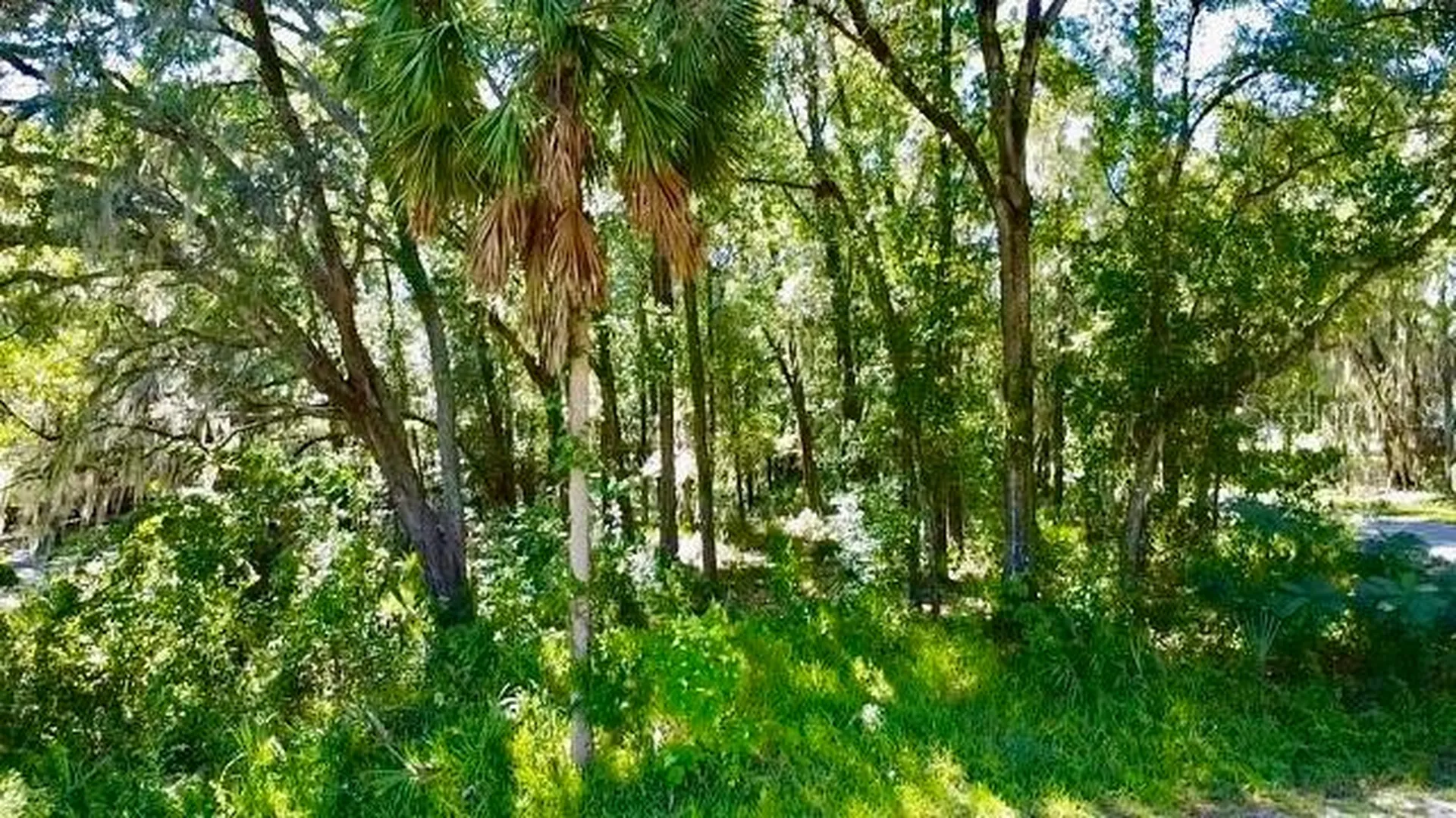 2790 NE 49th Avenue Ocala FL 34470
