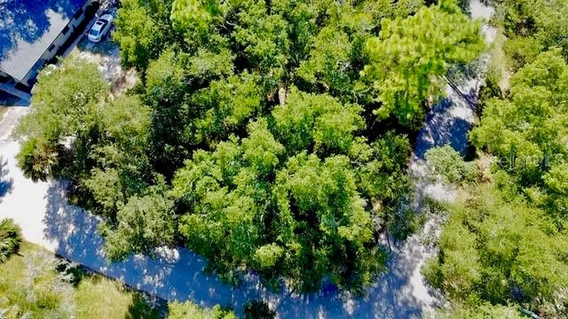 2790 NE 49th Avenue Ocala FL 34470