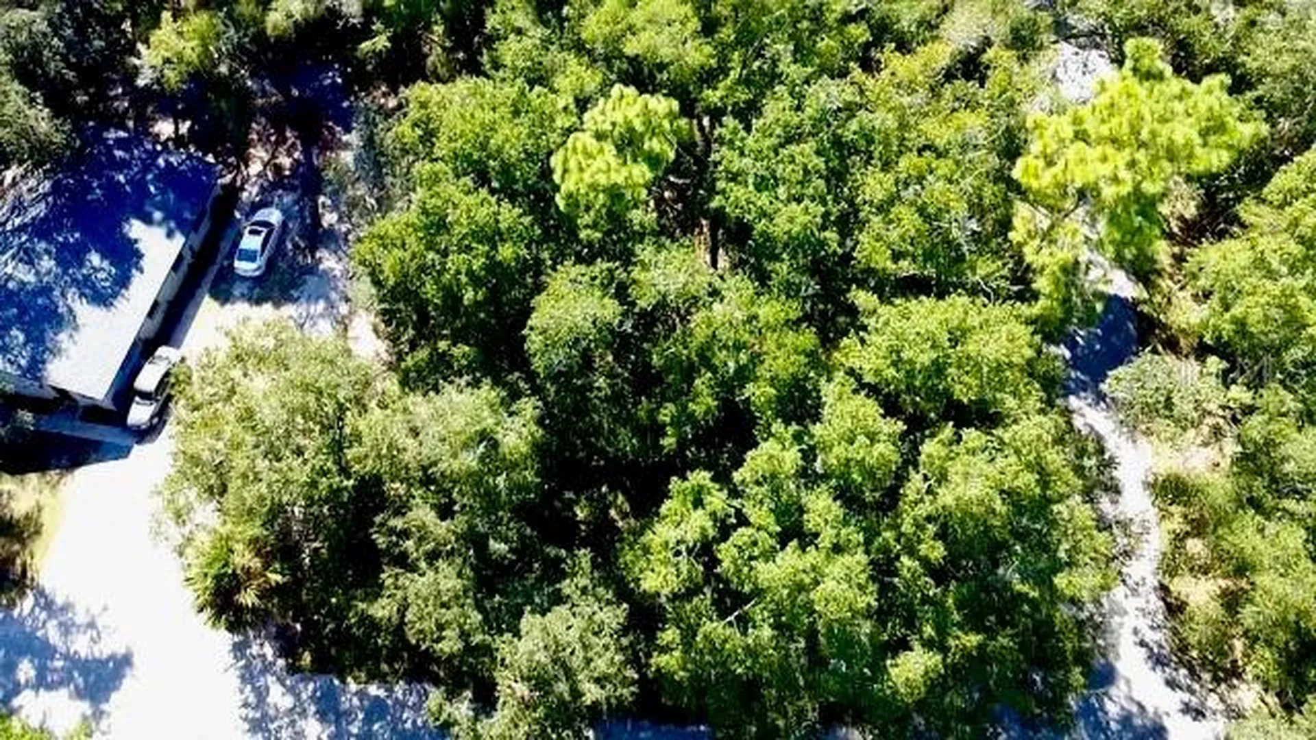 2790 NE 49th Avenue Ocala FL 34470