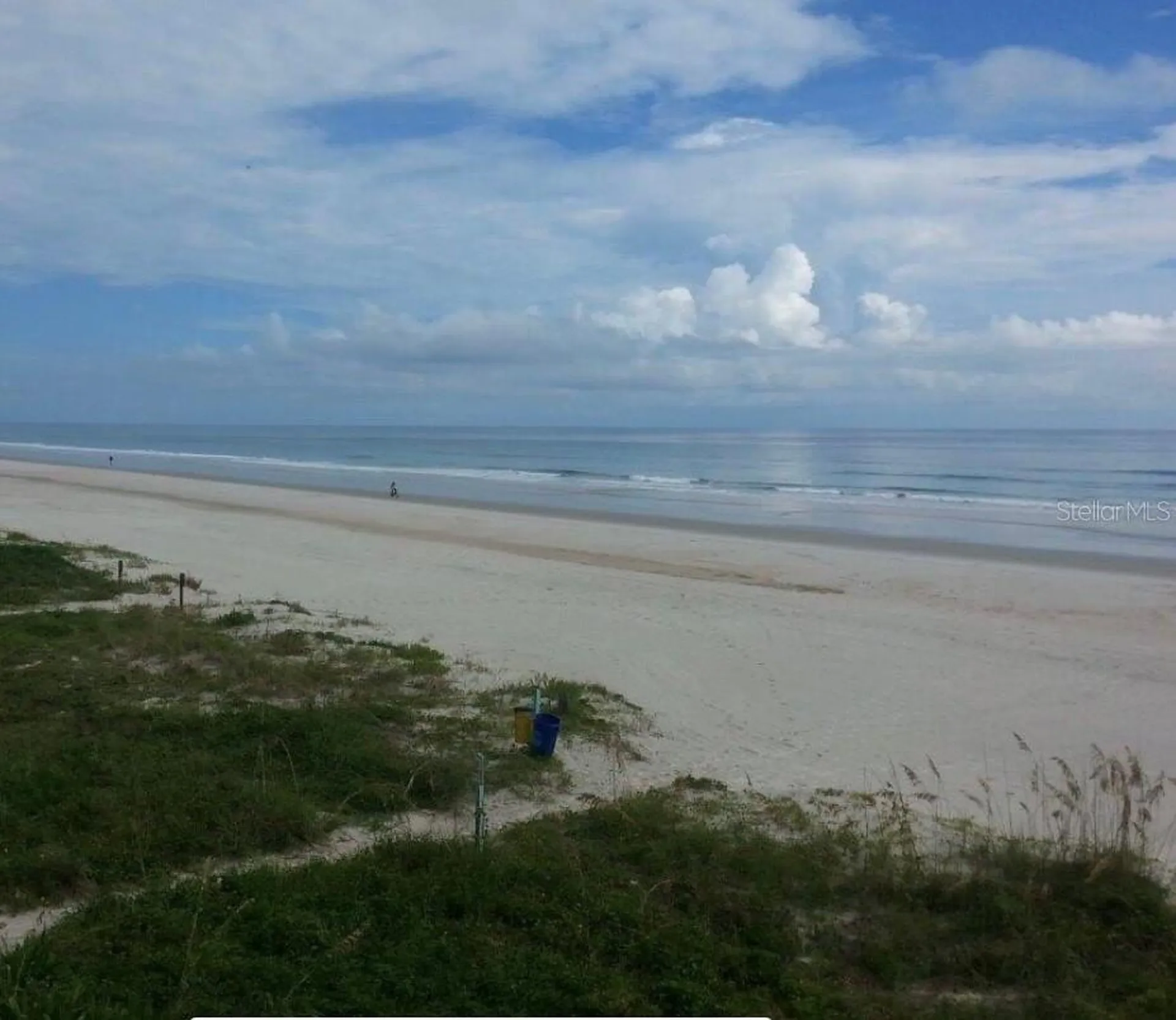4453 S Atlantic Avenue Ponce Inlet FL 32127