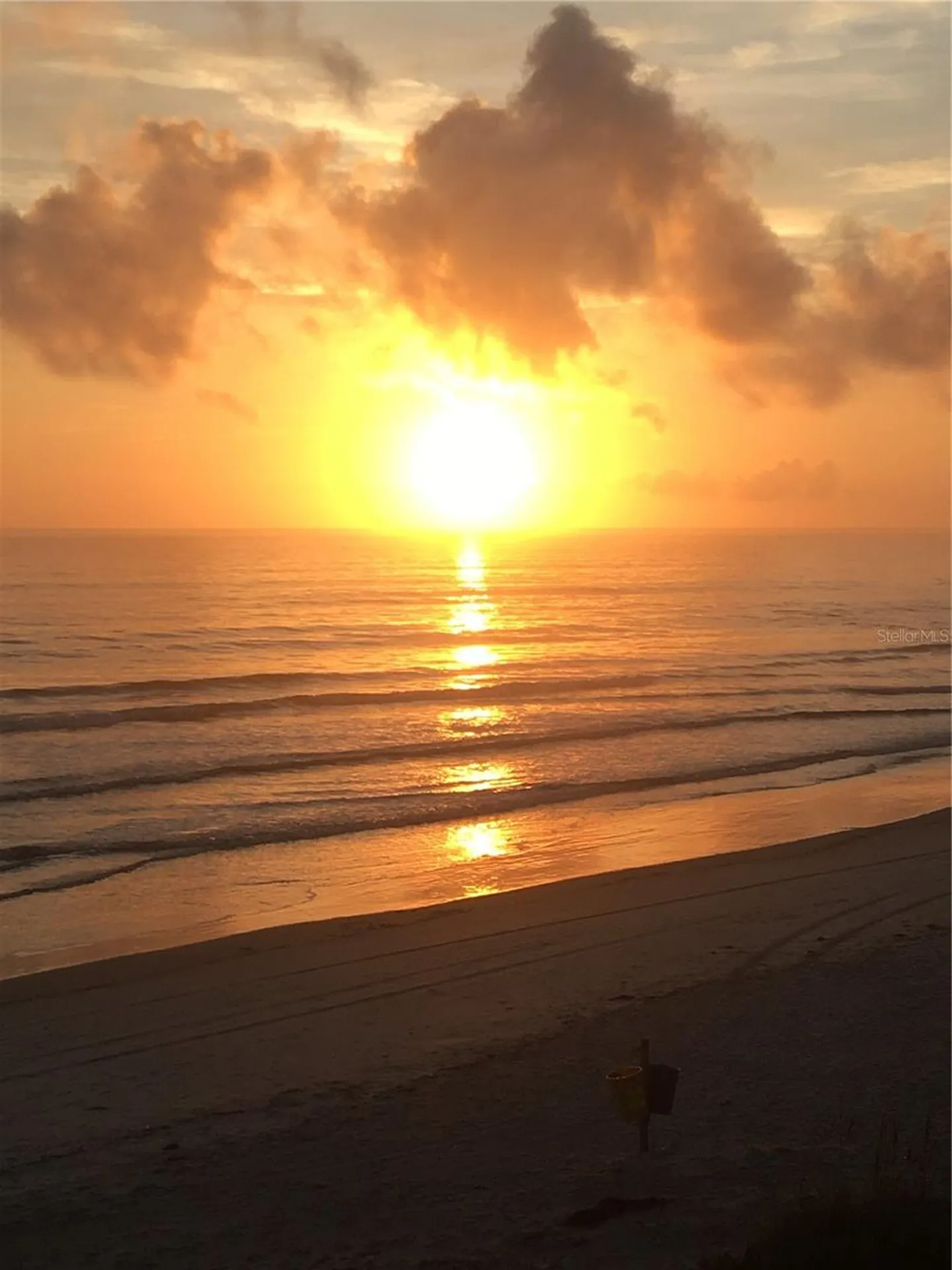 4453 S Atlantic Avenue Ponce Inlet FL 32127