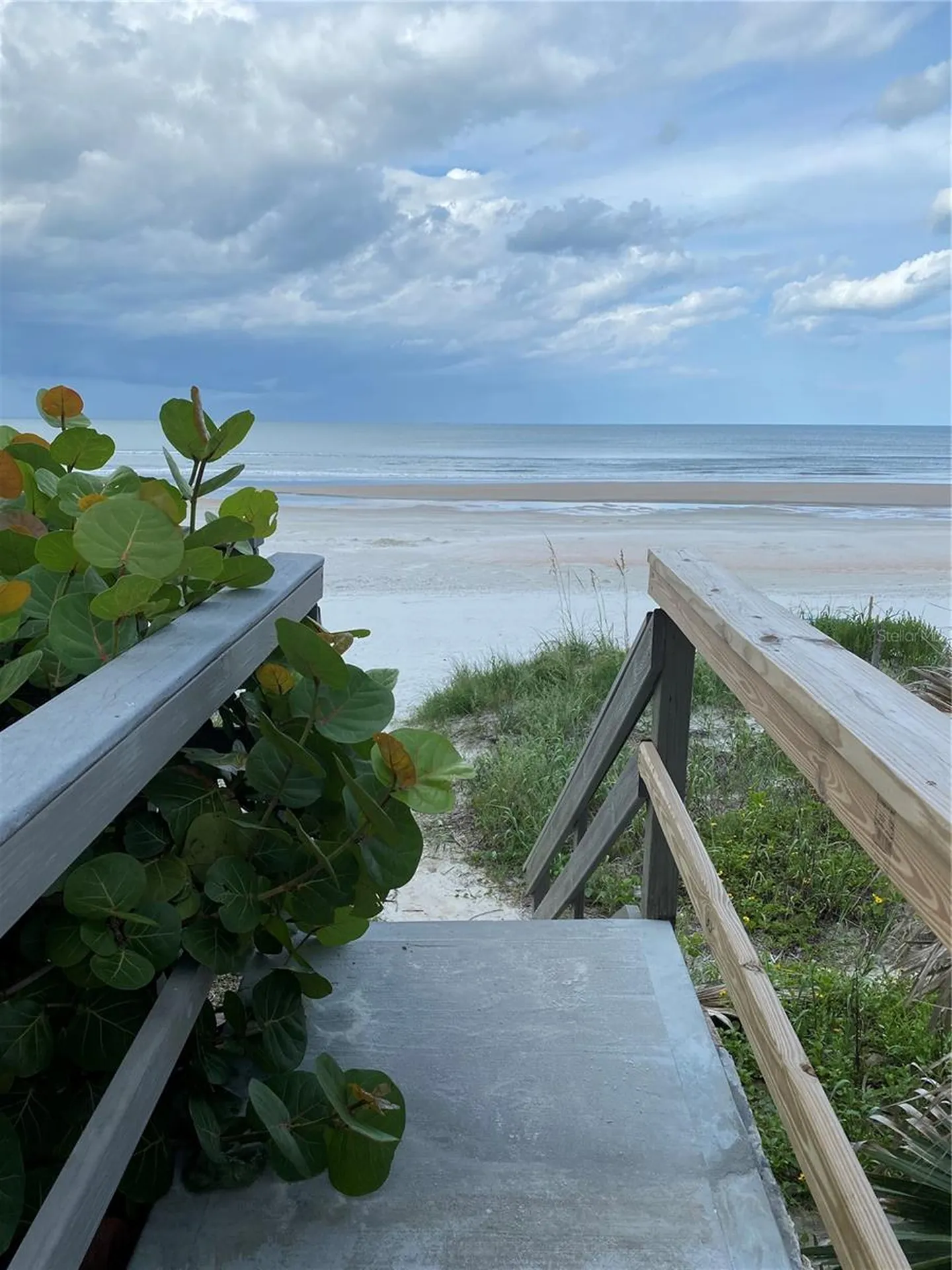 4453 S Atlantic Avenue Ponce Inlet FL 32127