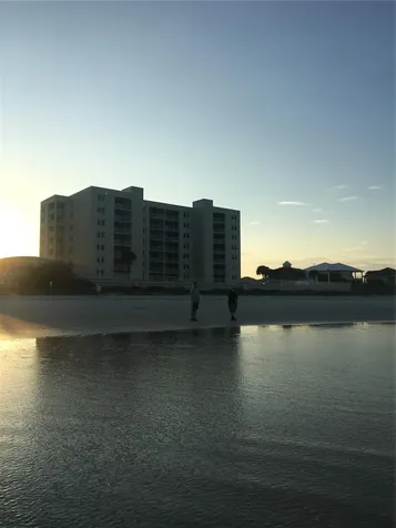 4453 S Atlantic Avenue Ponce Inlet FL 32127
