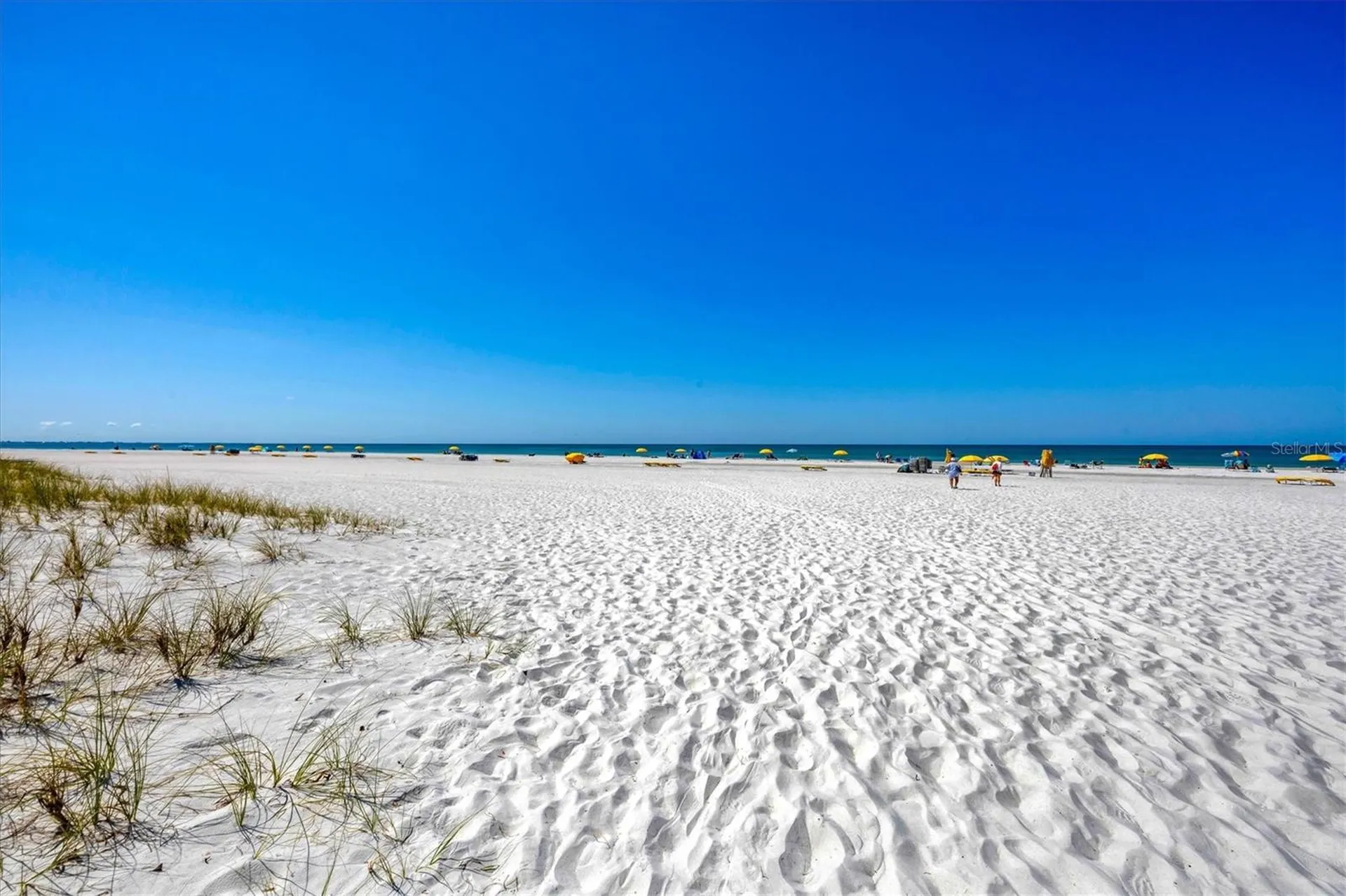 12000 Gulf Boulevard St Petersburg FL 33706