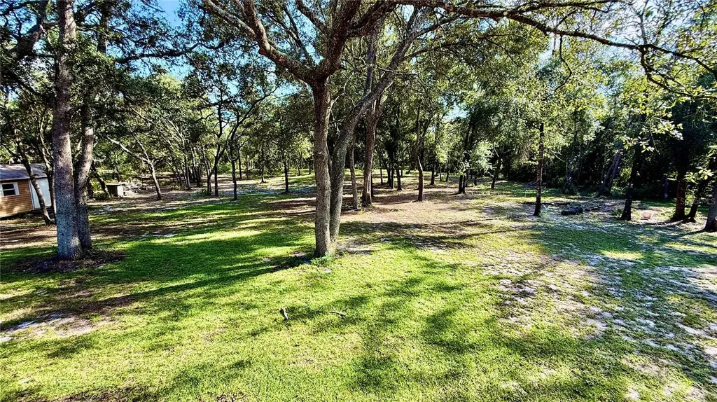 34256 Belt Drive Dade City FL 33523