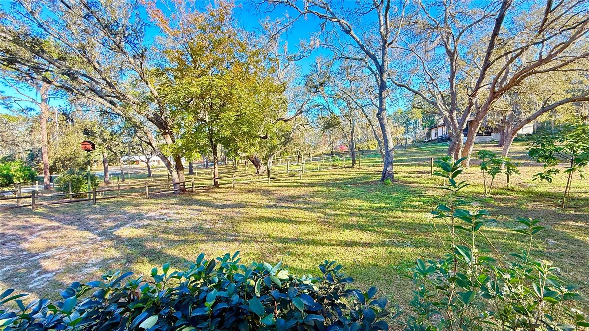 34256 Belt Drive Dade City FL 33523
