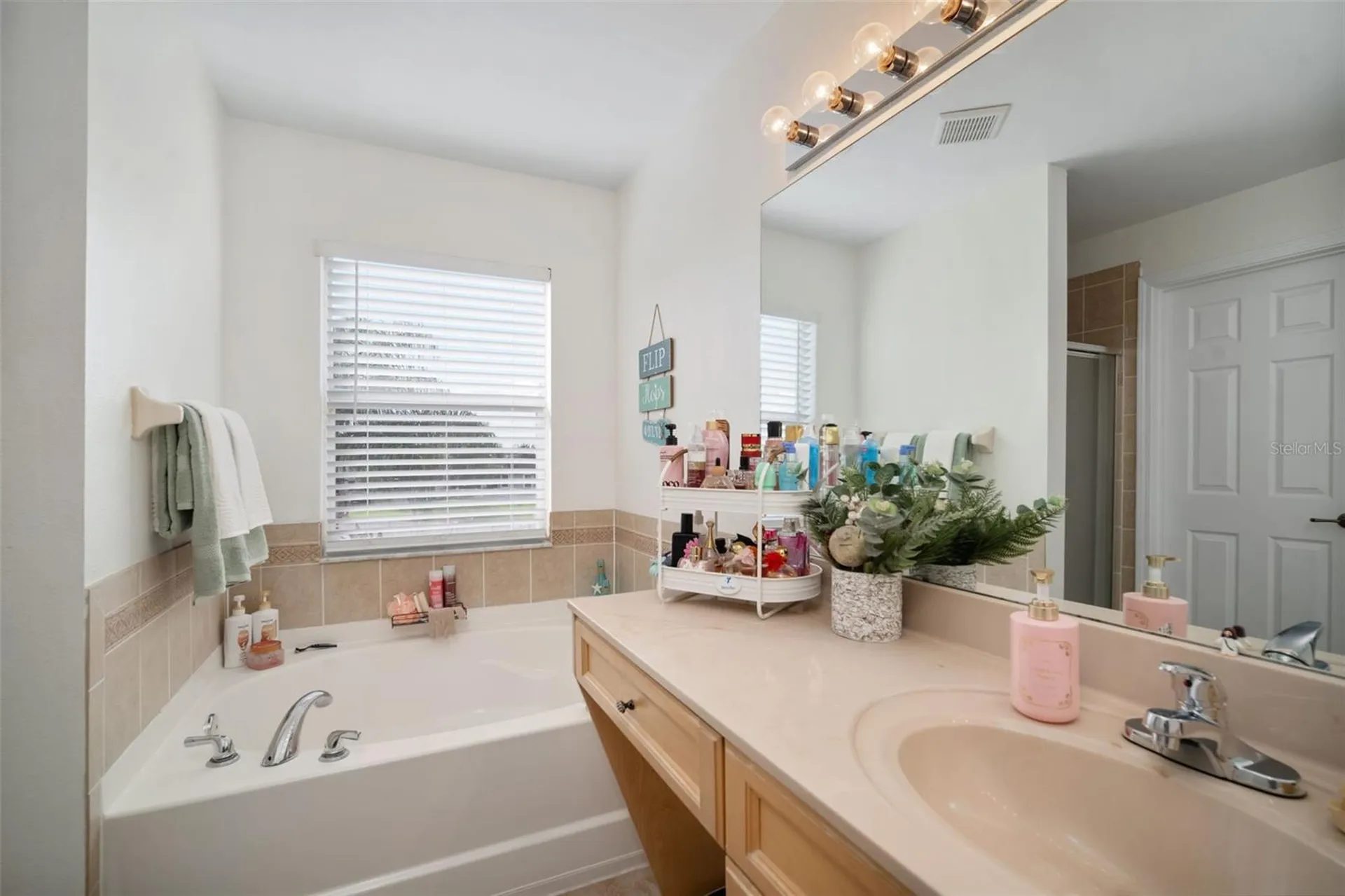 11531 Mountain Bay Drive Riverview FL 33569