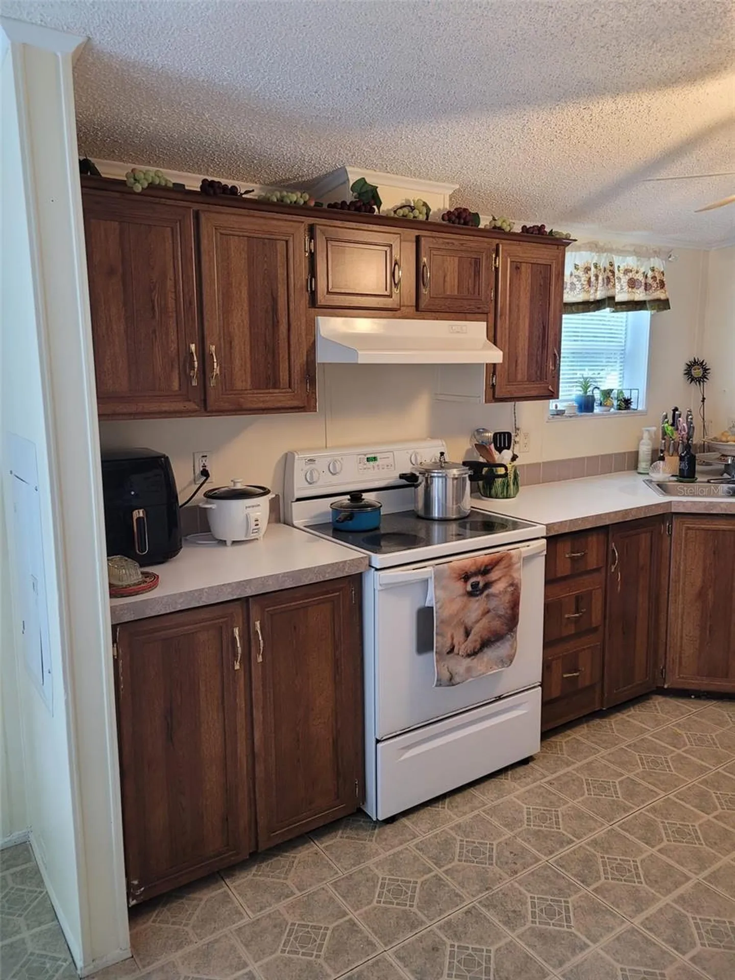 12950 SE 104th Court Belleview FL 34420