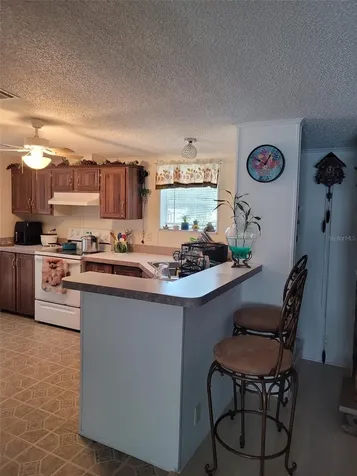 12950 SE 104th Court Belleview FL 34420