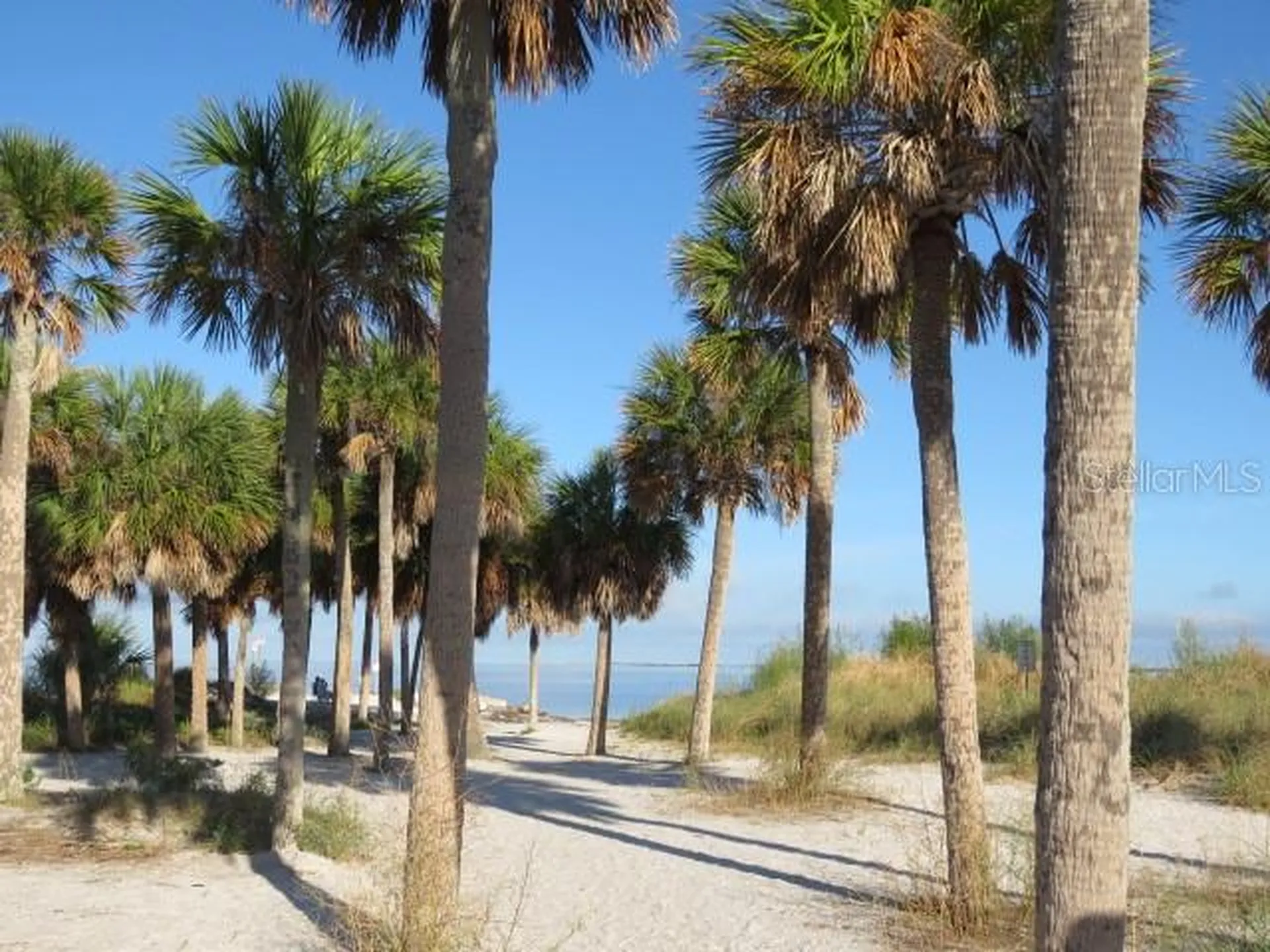 995 Spinnaker Court Tarpon Springs FL 34689