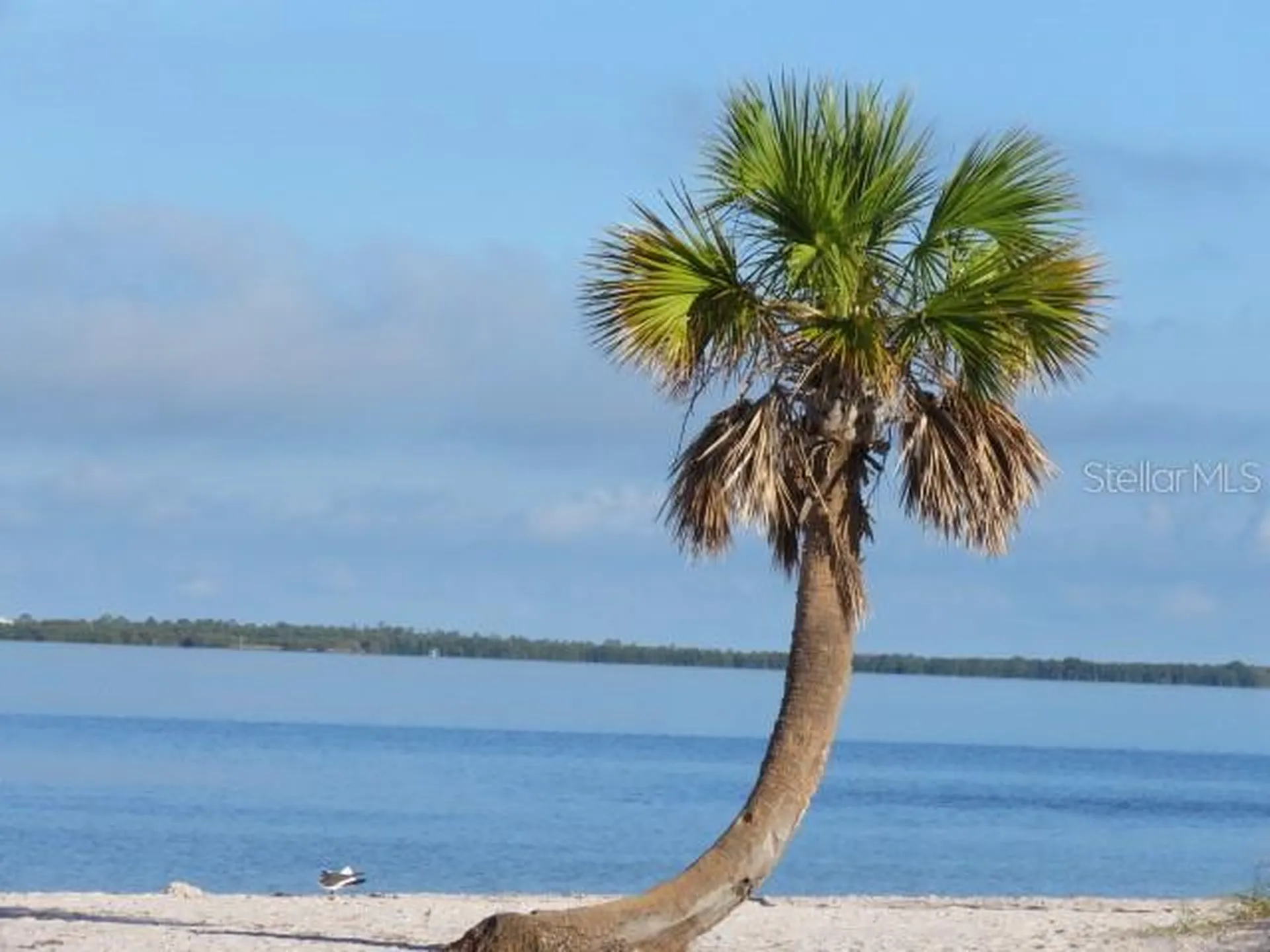 995 Spinnaker Court Tarpon Springs FL 34689