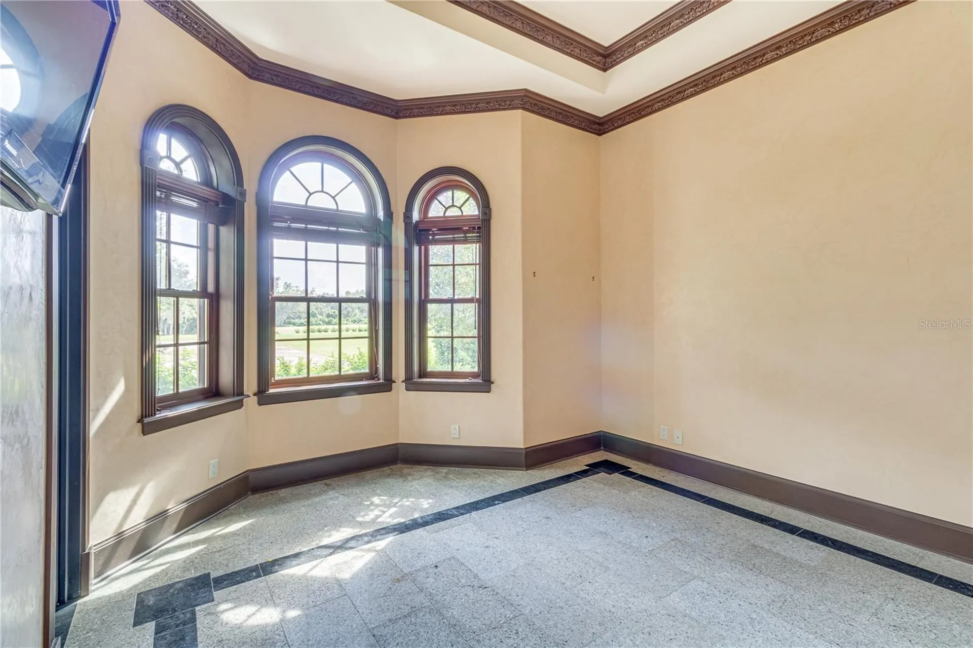 117 Bellamere Palms Court Lutz FL 33549
