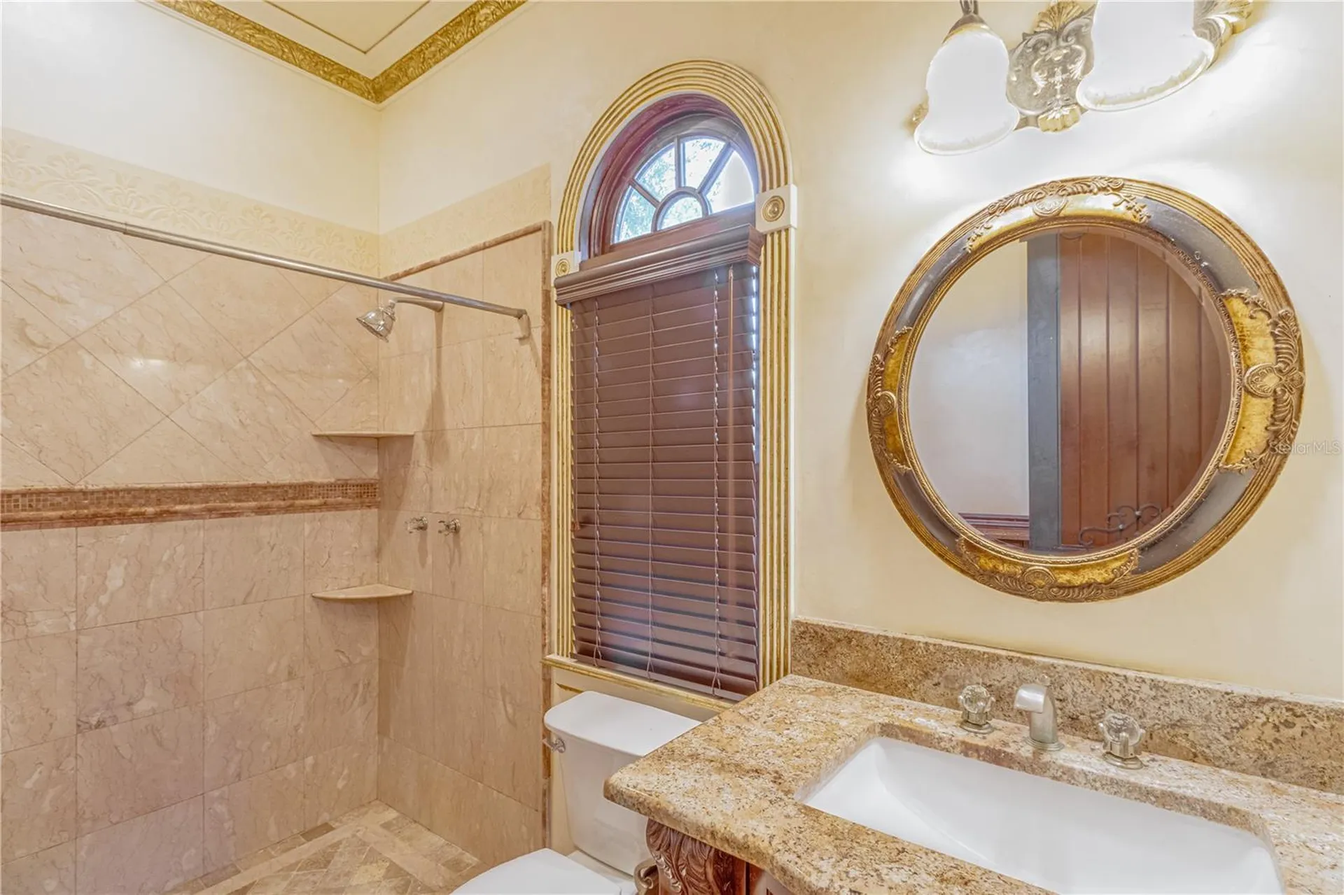 117 Bellamere Palms Court Lutz FL 33549