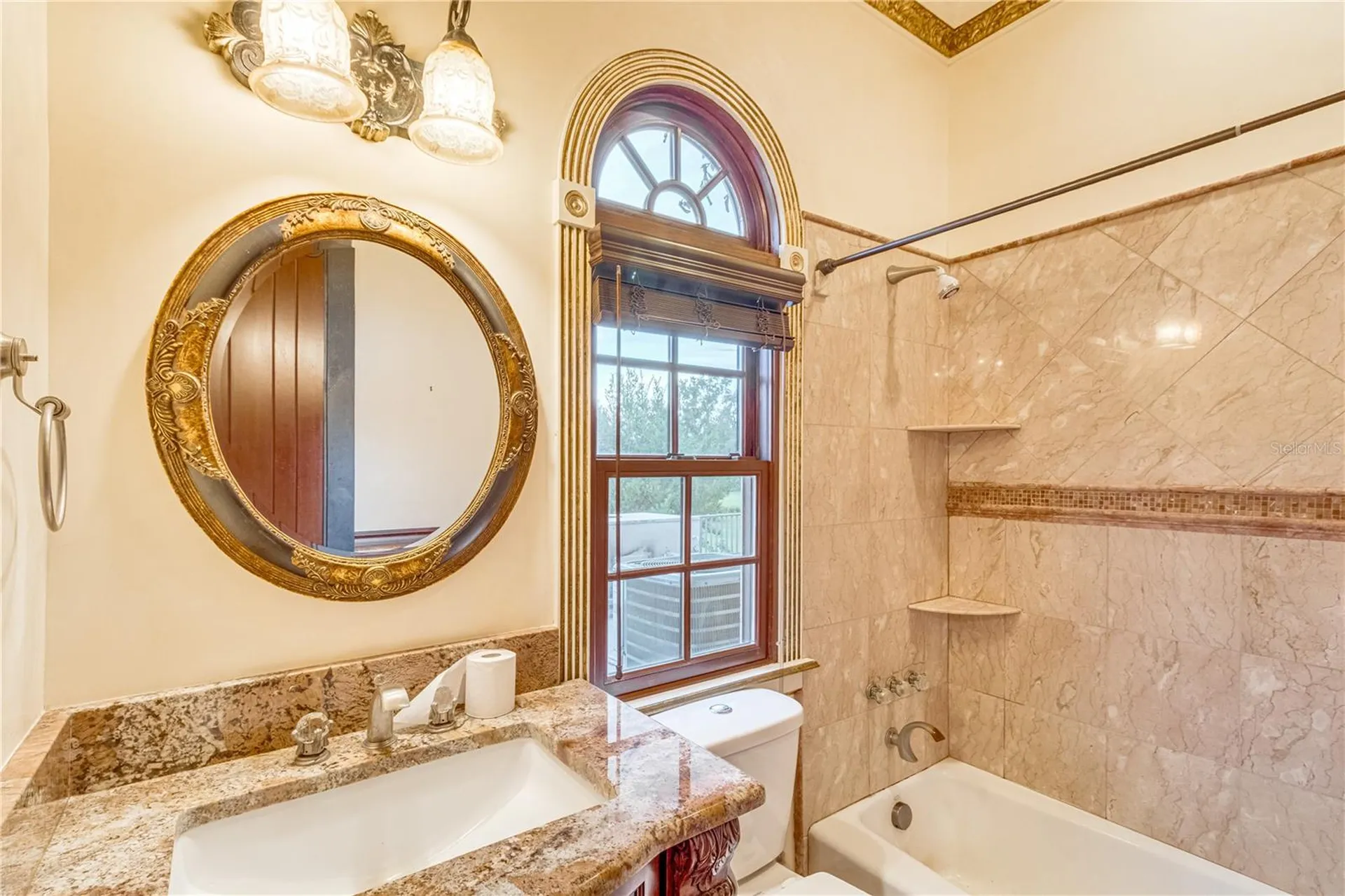 117 Bellamere Palms Court Lutz FL 33549