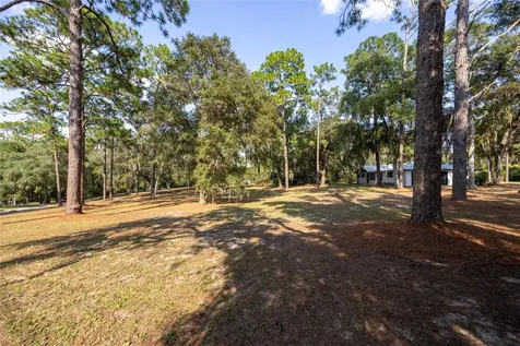 8453 Nittany Drive Melrose FL 32666