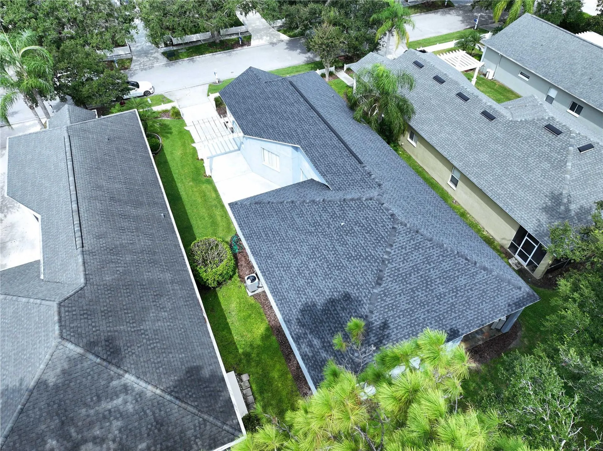 19217 Sea Mist Lane Lutz FL 33558