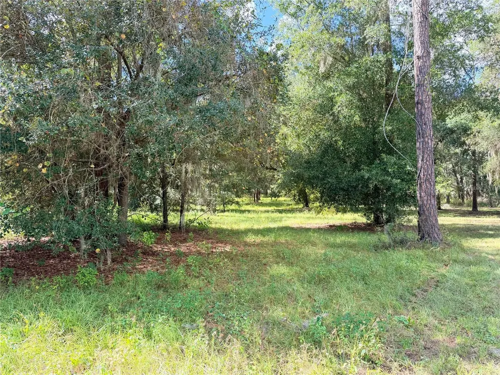 Bonsmara Drive Groveland FL 34736