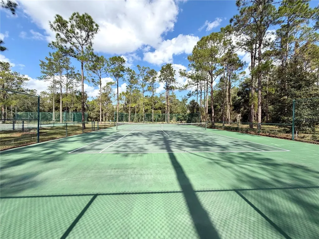 Bonsmara Drive Groveland FL 34736