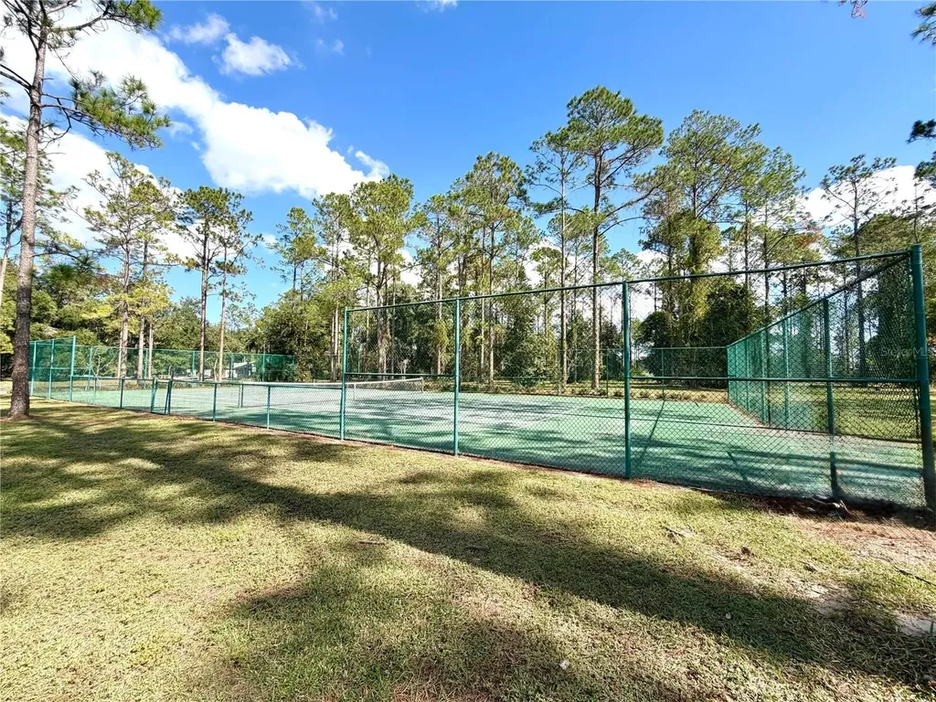 Bonsmara Drive Groveland FL 34736
