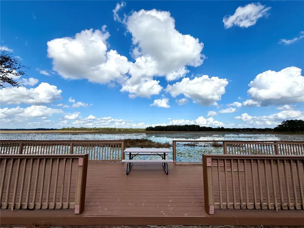 Bonsmara Drive Groveland FL 34736
